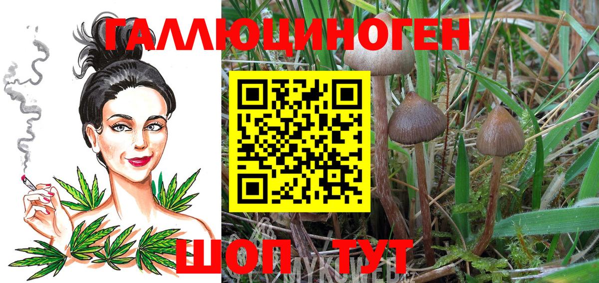 Грязи  Псилоцибиновые грибы Magic Shrooms  Галлюциногенные грибы прущие грибы  Вход с VPN 